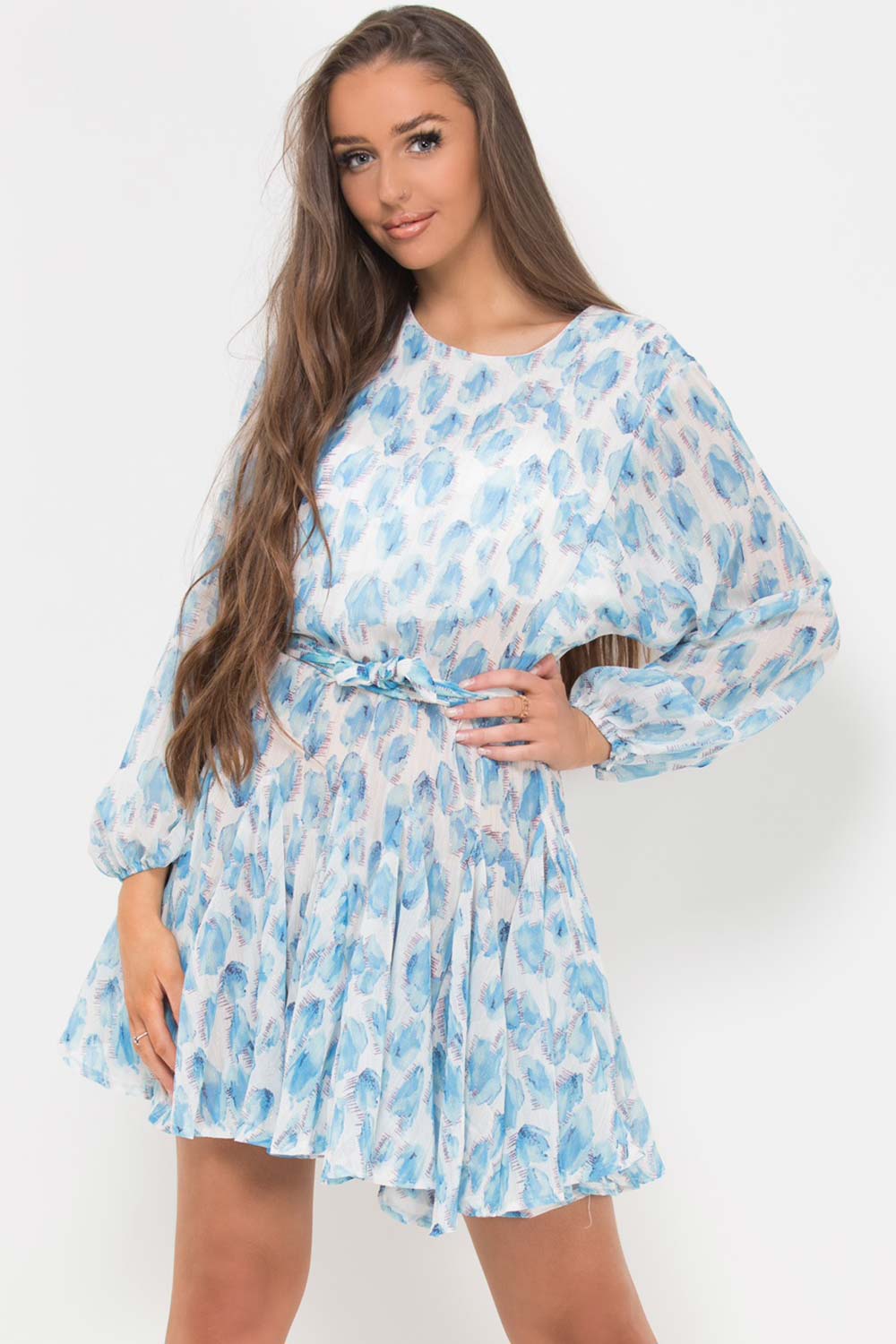 Floral Print Chiffon Skater Dress Blue